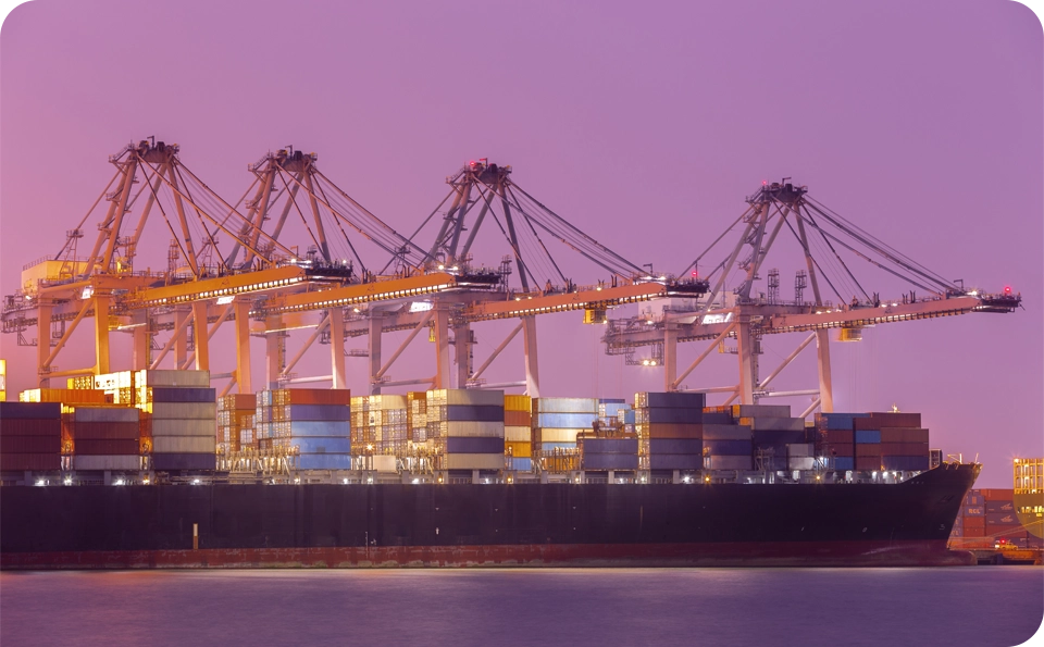 ness ship management